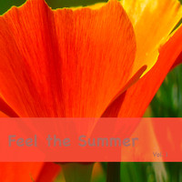 Various Artists - Feel the Summer, Vol. 1