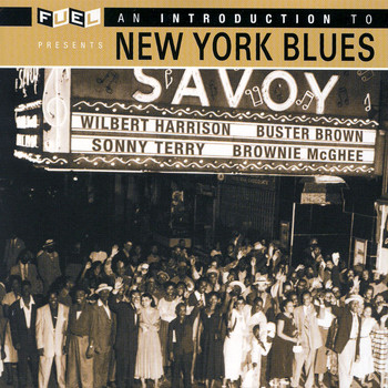 Various Artists - An Introduction To New York Blues