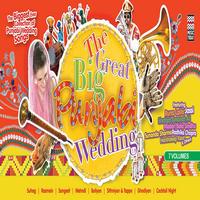 Various Artists - The Great Big Punjabi Wedding