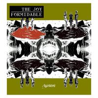 The Joy Formidable - Austere