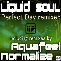 Liquid Soul - Perfect Day Remixed