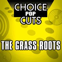 The Grass Roots - Re-Recorded Choice Pop Cuts