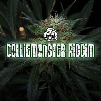 Pharfar - Colliemonster Riddim (Explicit)