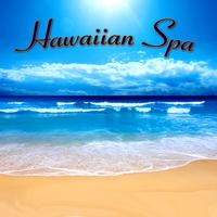 The Hawaiian Spa Players - Hawaiian Spa