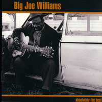 Big Joe Williams - Absolutely The Best: Big Joe Williams