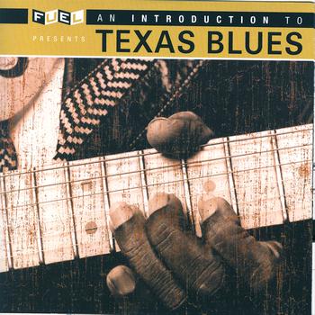 Various - An Introduction To Texas Blues