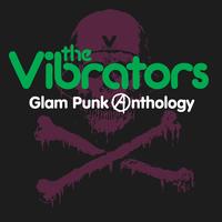 The Vibrators - Glam Punk Anthology