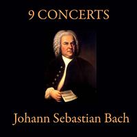 Nuremberg Symphony Orchestra - Classical Concerts