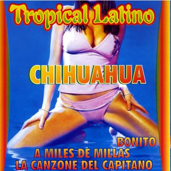 Latin Sound - Tropical Latino