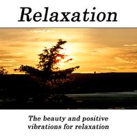 Hits Unlimited - Relaxation - The Beauty And Positive Vibrations For Relaxation