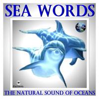 Sea Words - The Natural Sound Of Oceans