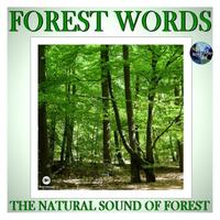 Forest Words - The Natural Sound Of Forest