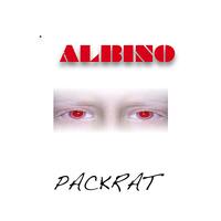 Pack Rat - Albino