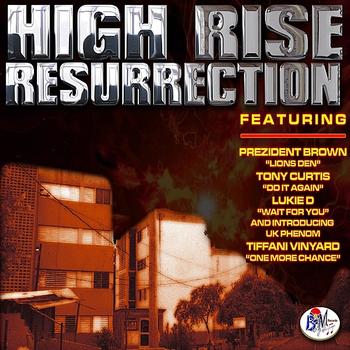 Various Artistes - HIGH RISE RESSURRECTION