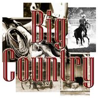 The Sheltons - Big Country