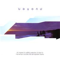 Bruce Maginnis - Beyond