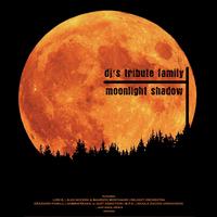 Dj's Tribute Family - Moonlight Shadow