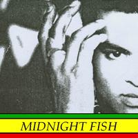 Midnight Fish - Midnight Fish