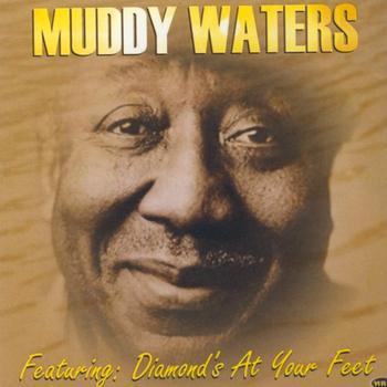 Muddy Waters - Muddy Waters
