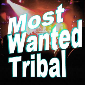 Various Artists - Most Wanted Tribal