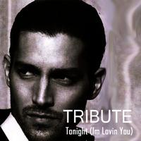 True Stars - Tonight (I'm Lovin' You) {feat. Ludacris & DJ Frank E} (Enrique Iglesias Tribute)