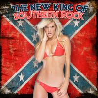 Southern Rock Heroes - The New King Of Southern Rock