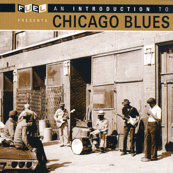Various Artists - An Introduction To Chicago Blues