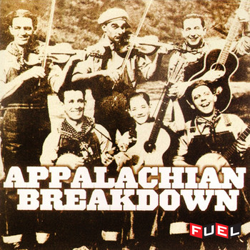 Various Artists - Appalachian Breakdown