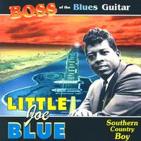 Little Joe Blue - Southern Country Boy