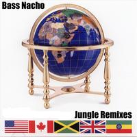 Bass Nacho - Jungle Remixes