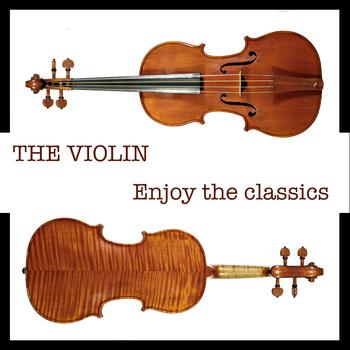 The Madonas Chambers Orchestra - The Violin, Enjoy The Classics