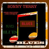 Sonny Terry - The Unique