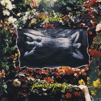 Friends - Sundrowned