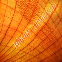 Hakan Ludvigson - Scheisse - EP (Explicit)