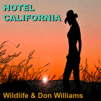Don Williams - Hotel California