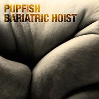 Pupfish - Bariatric Hoist - Single