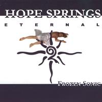 Hope Springs Eternal - Frozen Sonic
