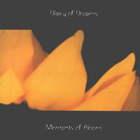 Diary of Dreams - Moments Of Bloom