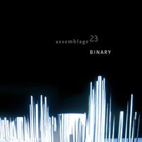 Assemblage 23 - Binary