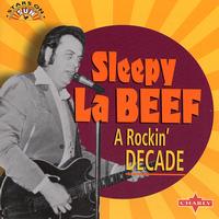 Sleepy La Beef - A Rockin' Decade