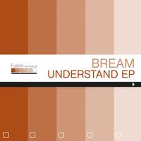 Bream - Understand