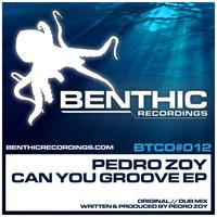 Pedro Zoy - Can You Groove EP