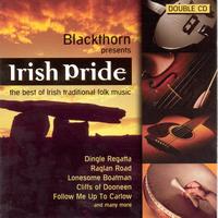 Blackthorn - Irish Pride