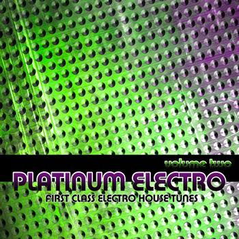 Various Artists - Platinum Electro, Vol.2 (First Class Electro House Tunes)