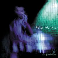 Peter Murphy - Alive JustForLove (Live)