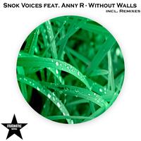 Snok Voices - Without Walls