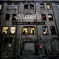 Mesh - A Perfect Solution (Deluxe)