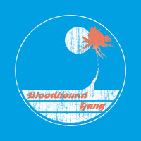 Bloodhound Gang - Screwing You On The Beach At Night (Explicit)
