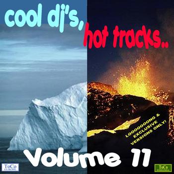 Various Artists - Cool dj's, hot tracks - vol. 11
