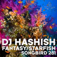 DJ Hashish - Fantasy / Starfish
